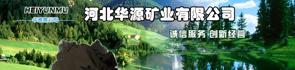 在此處插入徽標(biāo)